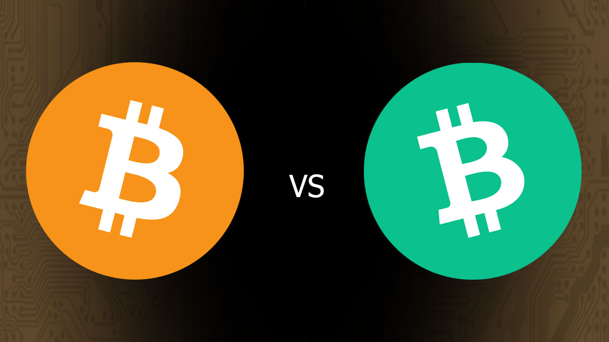 Bitcoin so với Bitcoin Cash: Sự khác biệt giữa BTC và BCH là gì?
