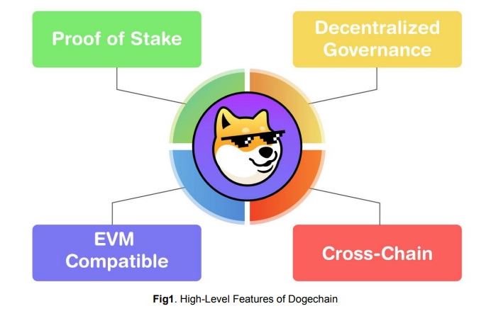 Dogechain (DC) – Bước ngoặt lớn cho Dogecoin.