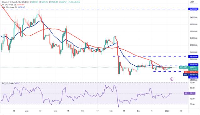 Phân tích giá đồng crypto ngày 6 tháng 1: DOGE cho thấy sự phục hồi