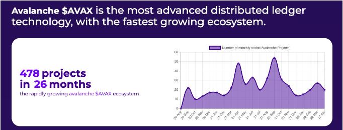 Năm 2022 Subnet không hiệu quả - Avalanche có thu hút được người dùng?