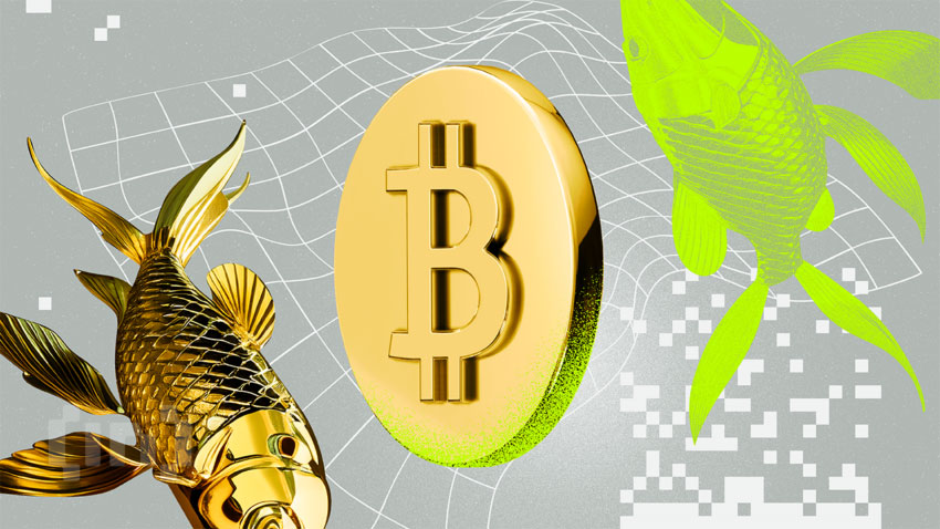 Bitcoin tăng mạnh trong tháng 10 - Vàng Bạc cũng được đà tăng theo